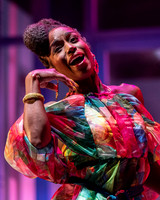 003_Merry Wives_press