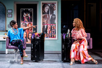 020_Merry Wives_press