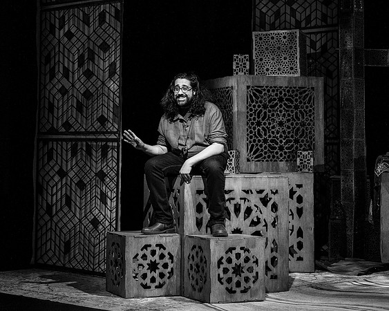 017_Amm(i)gone_press, landscape crop, bw