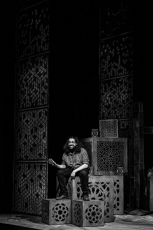 017_Amm(i)gone_press, bw