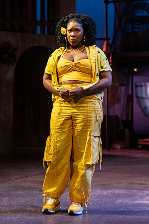 111_Comedy of Errors_full set