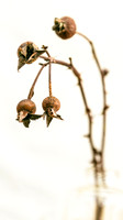 1_speakwellofthedead_09