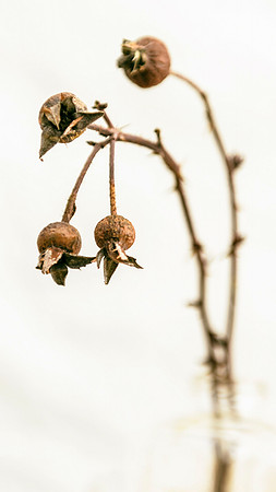 1_speakwellofthedead_09