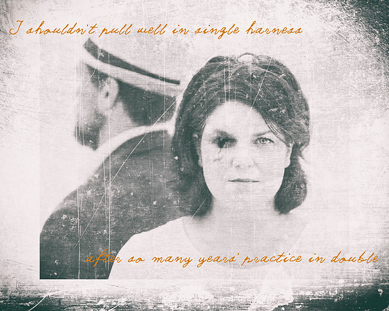 Clover Adams speak well of the dead_04_single harness