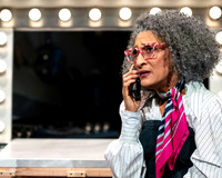 009_Carla Hall_Please Underestimate Me_full set
