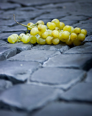 Grapes, Piazza Navona