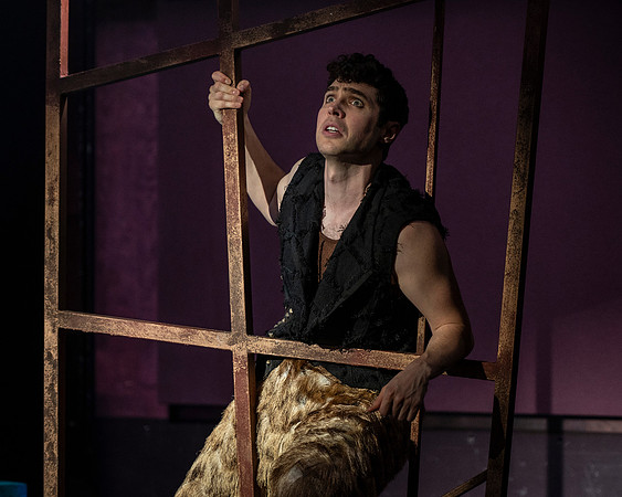 121_Midsummer_press