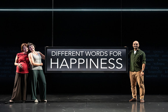 143_Different Words for Happiness_full set