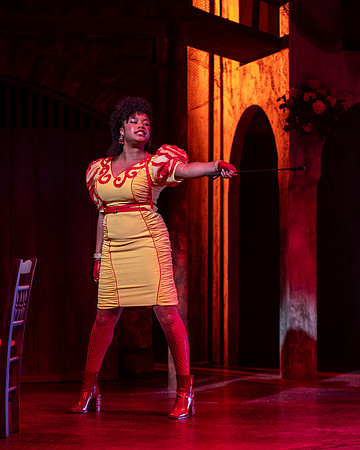 125_Comedy of Errors_full set