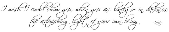 Quotation - I wish I could show you