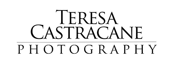 Logo 2018, black, transparent background