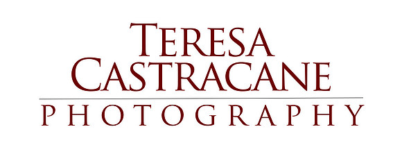 Logo 2018, red, transparent background