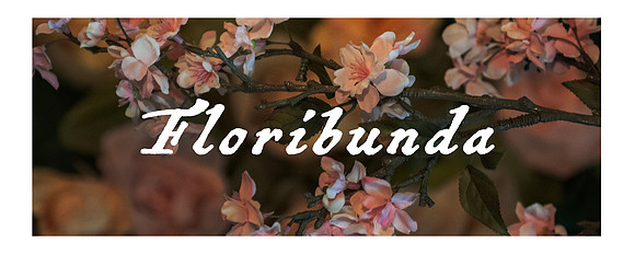 Floribunda - title