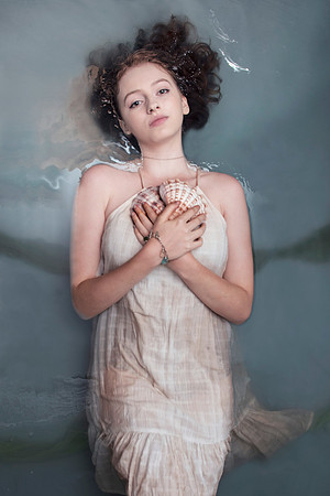 Lily, seashells