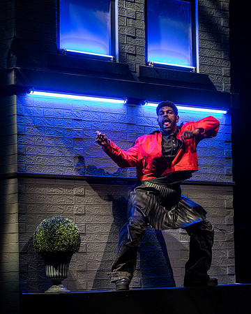 029_Dance Like Black People Are Watching_full set