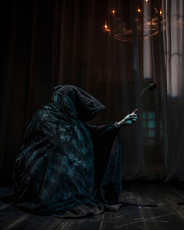 001_Beauty and the Beast_setups2_full set