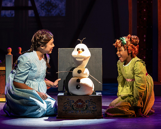 017_Frozen IDR_full set