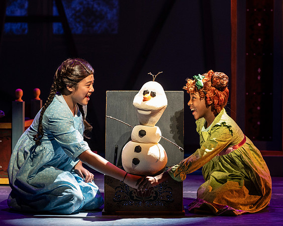 018_Frozen IDR_full set