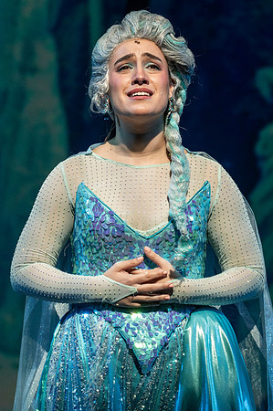 081_Frozen IDR_press